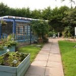 The rear garden at Drayton Court